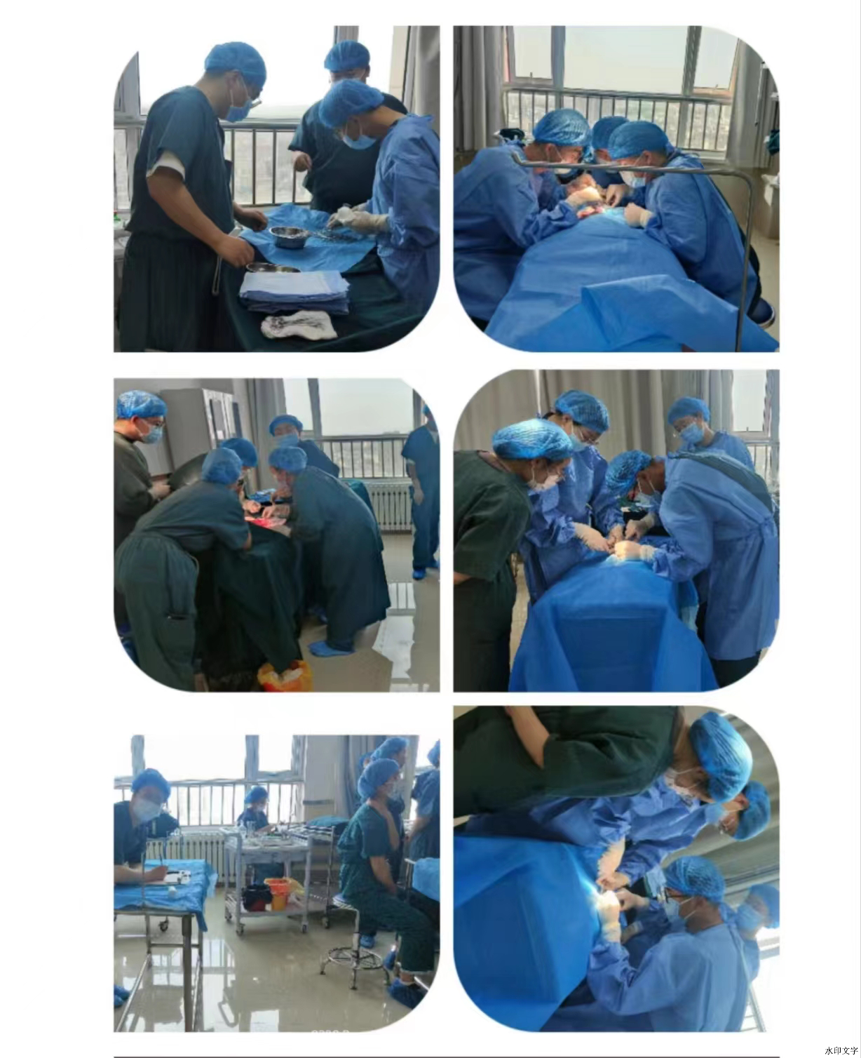 0198f6402cf04a288dd709bacfe08288.jpg 0198f6402cf04a288dd709bacfe08288.jpg