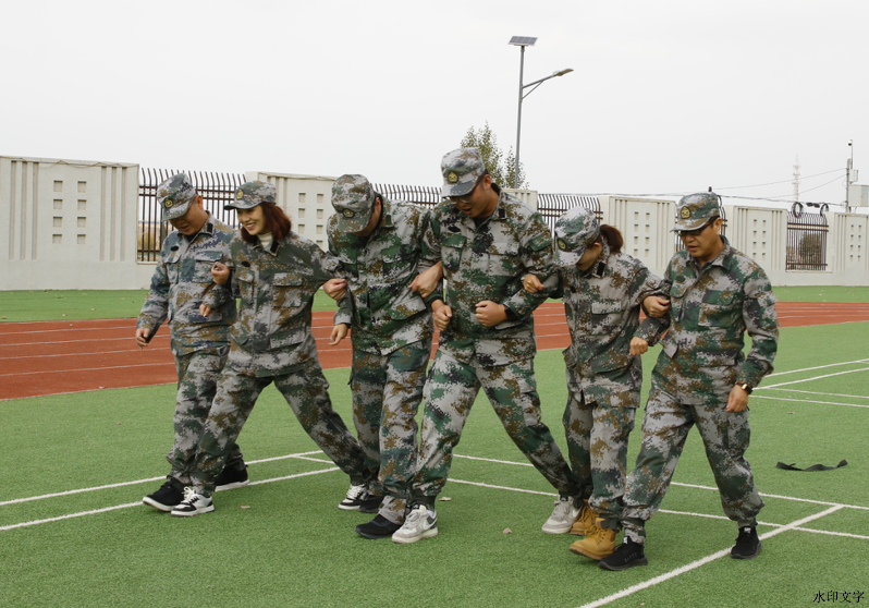 06ed5a4a87564c64a08fbf15bf46602f.png 06ed5a4a87564c64a08fbf15bf46602f.png